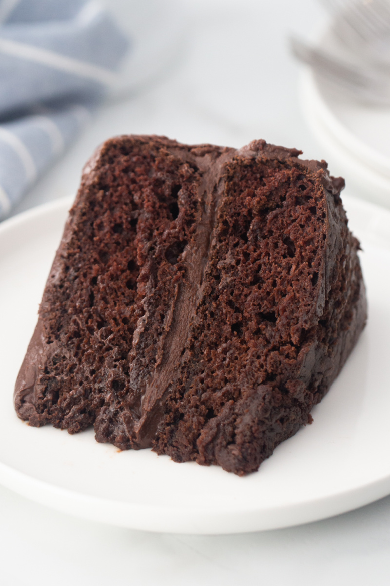 slice of chocolate cake on white plate