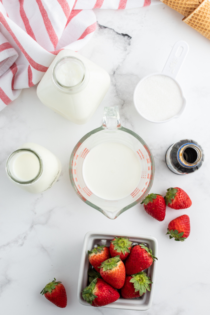 ingredients displayed for strawberry ice cream