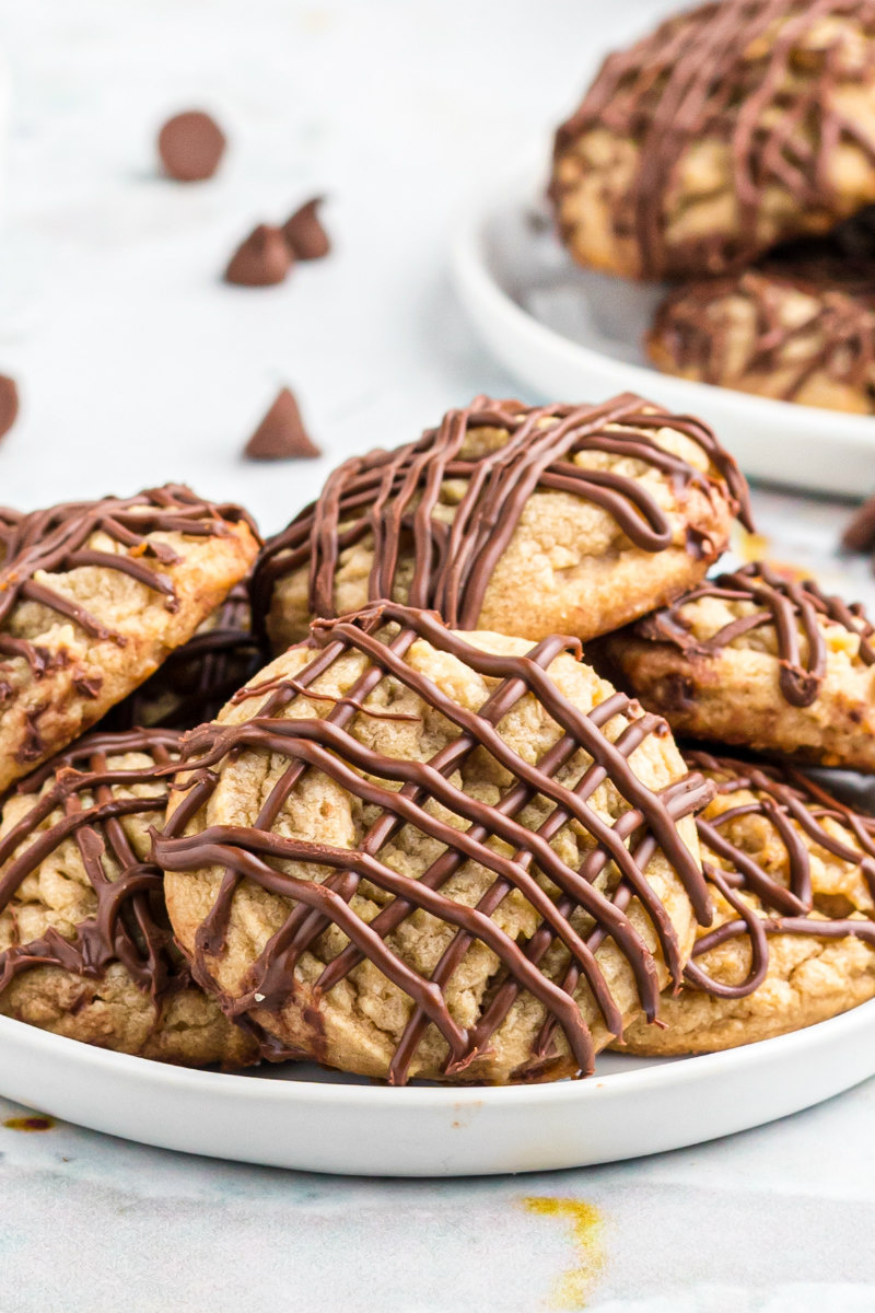 chocolate drizzled peanut butter cookies