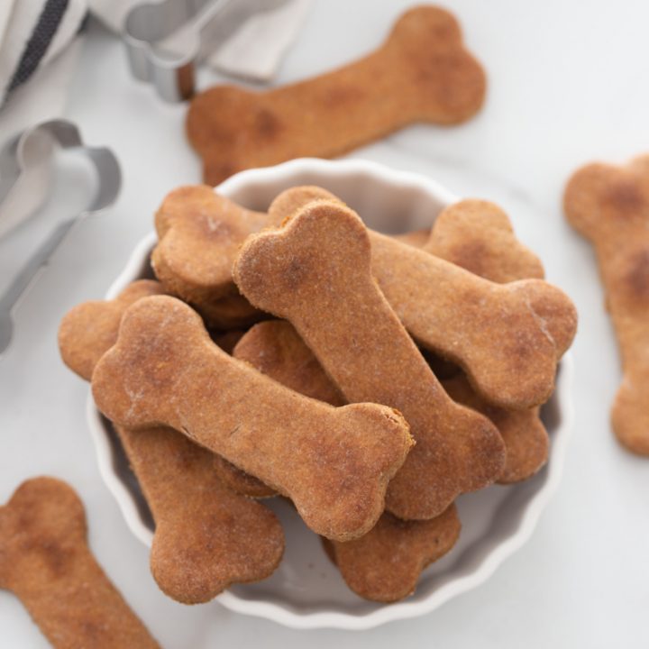 dog biscuits displayed in a bowl