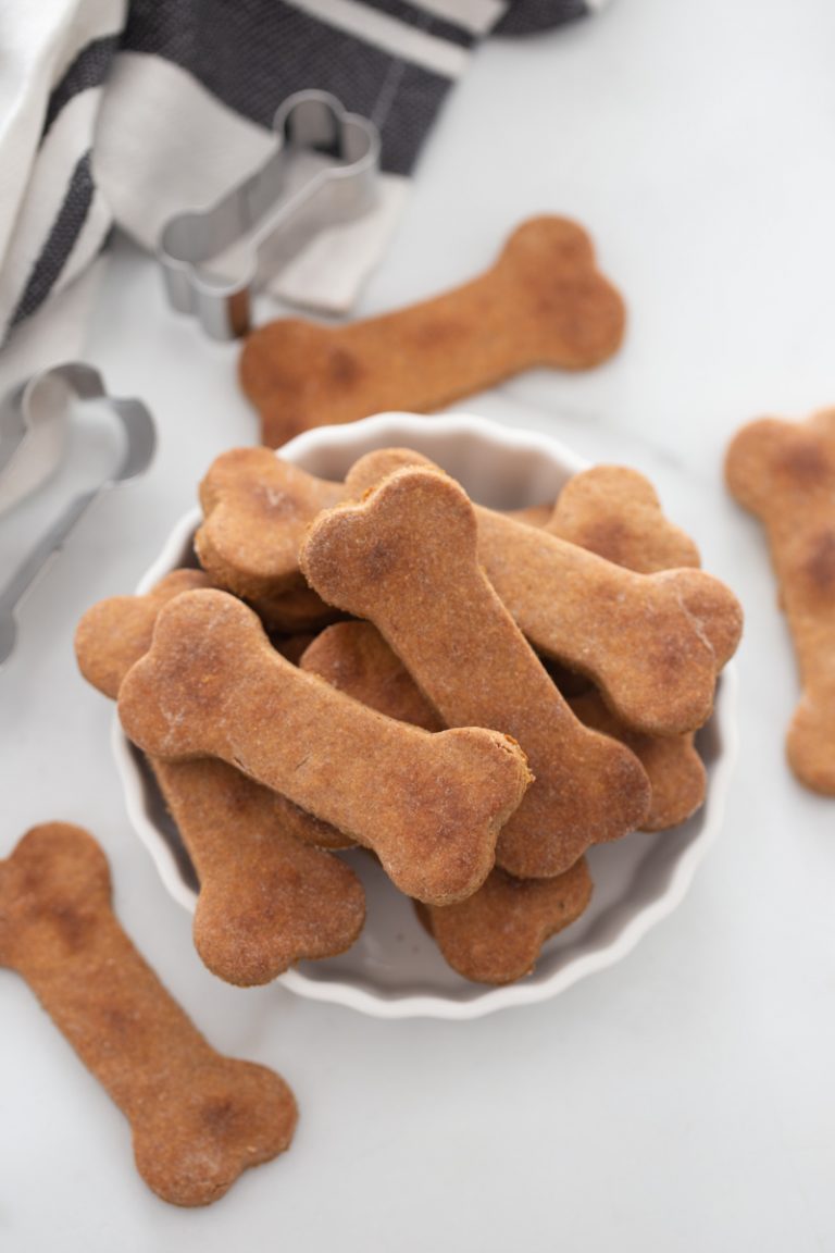 dog biscuits displayed in a bowl