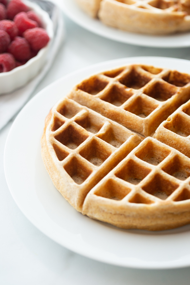 whole grain buttermilk waffle on white plate