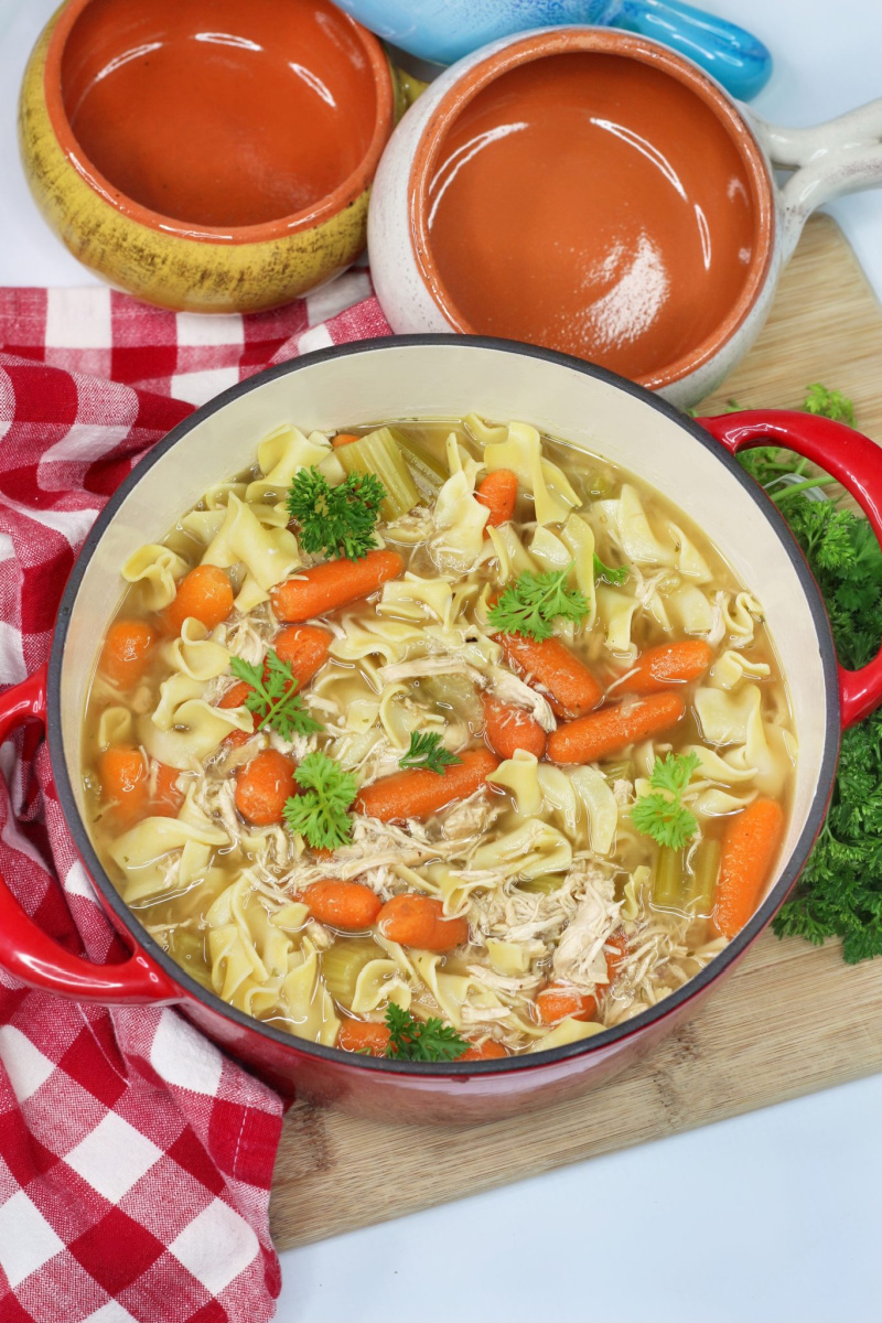 pot of homestyle chicken noodle soup