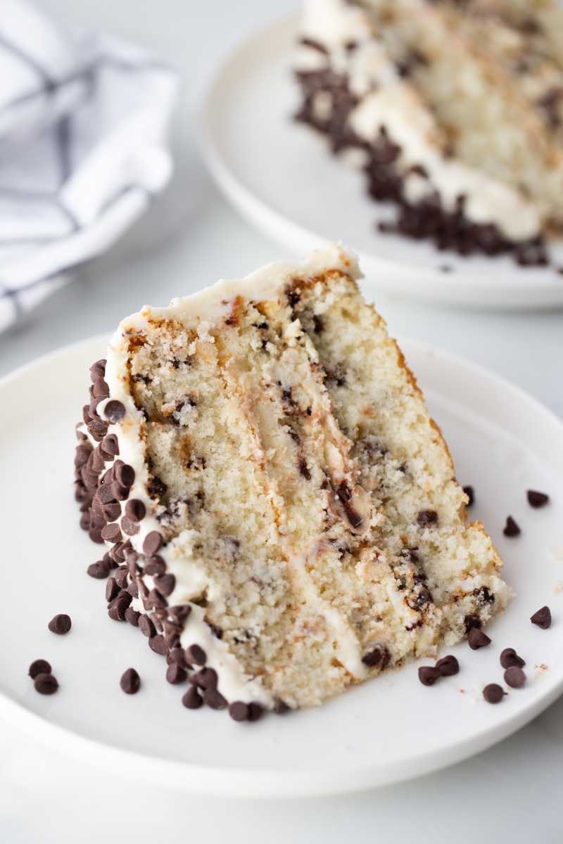 slice of chocolate chip cheesecake cake on a white plate