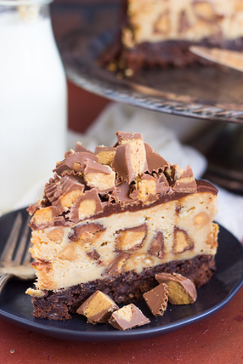 slice of peanut butter cup brownie cheesecake