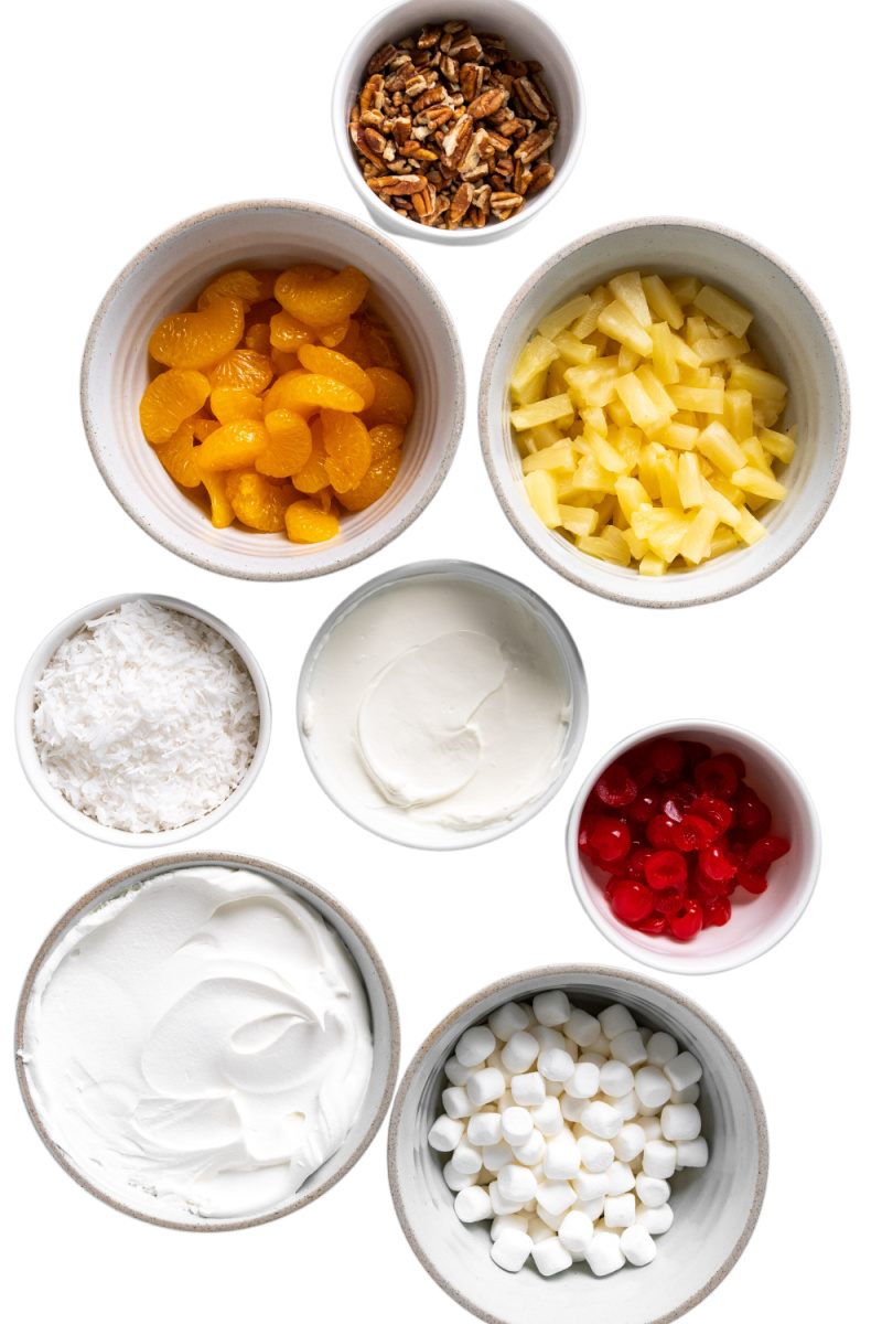 ingredients displayed for making ambrosia