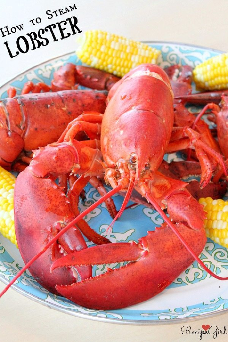 steamed whole lobster