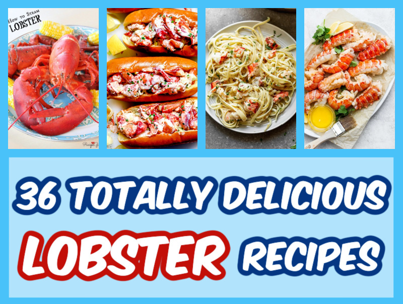 36 Totally Delicious Lobster Recipes Recipes For Holidays
