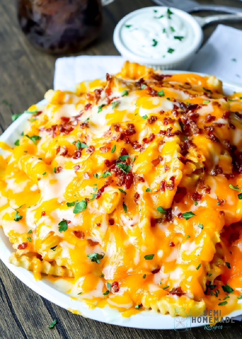 Loaded Cheese Fries on a plate