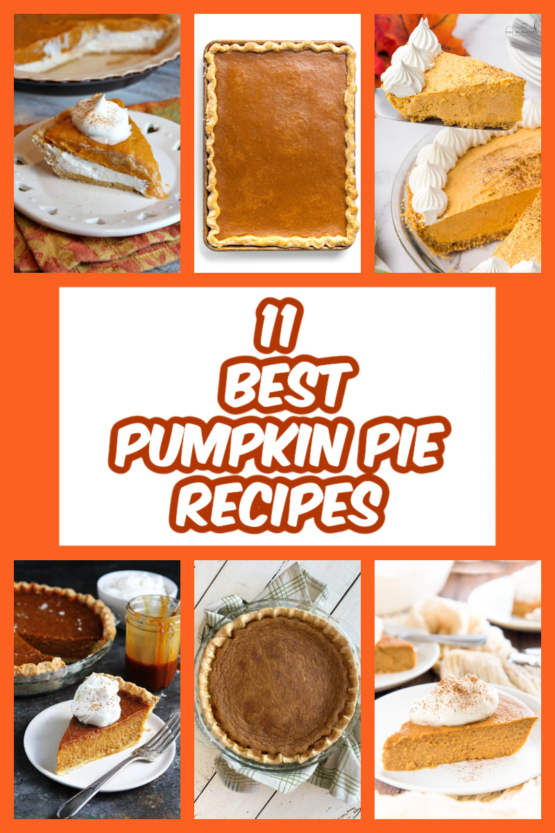 pinterest image for 11 pumpkin pie recipes collage
