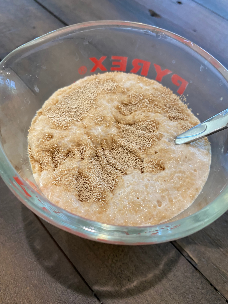 yeast with water in bowl foaming