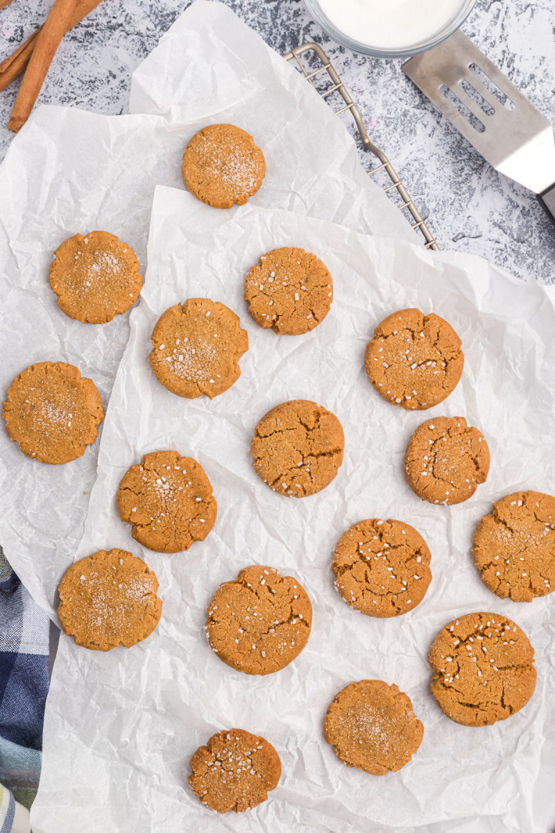 several gingersnaps on parchment paper