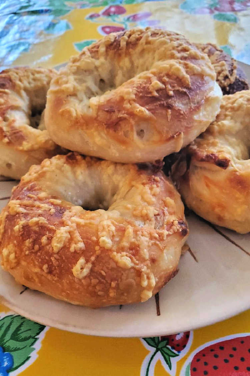 several asiago cheese bagels on plate