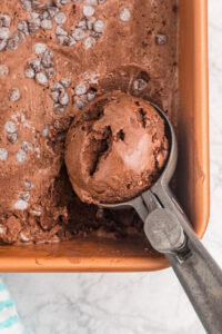 tub of chocolate froyo with scoop