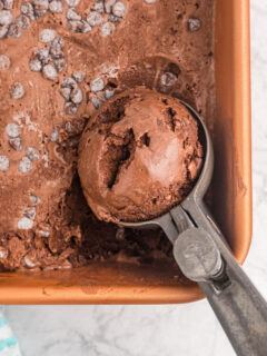 tub of chocolate froyo with scoop