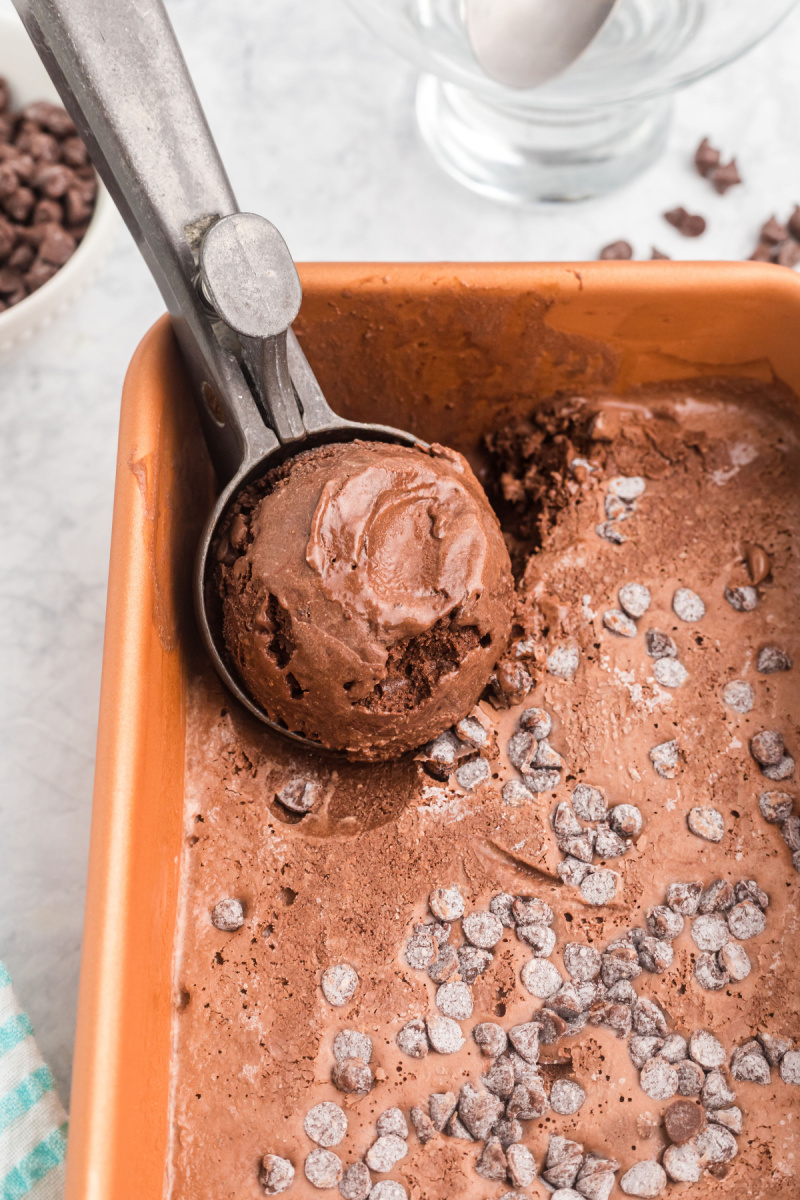 chocolate frozen yogurt in a dish with a scoop