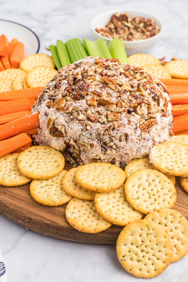 salmon party ball surrounded by crackers and veggies