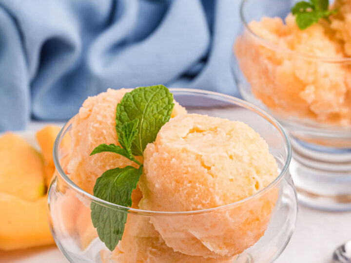 Cantaloupe sorbet 2025 ice cream maker