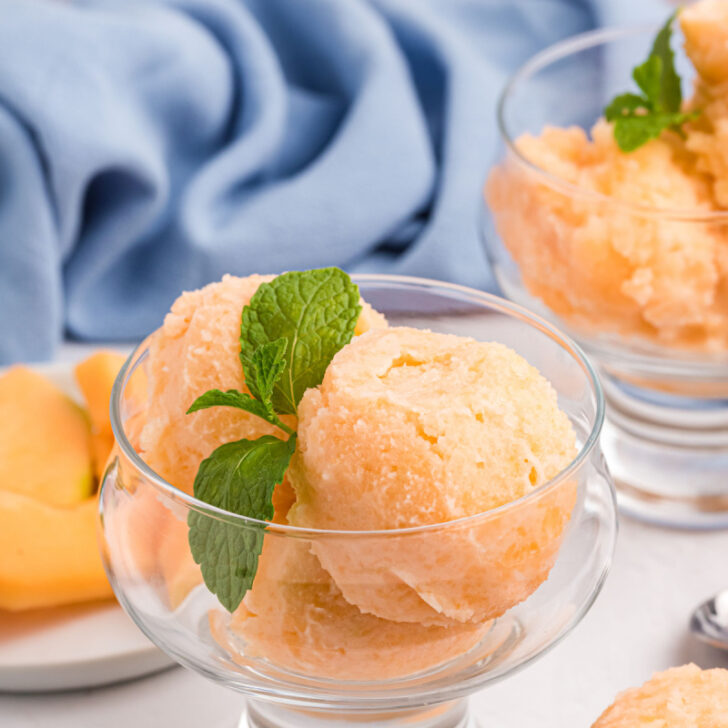 Melon Sorbet - Recipes For Holidays