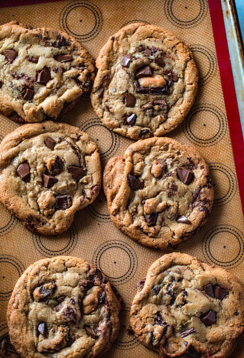 giant chocolate chip cookies on a baking sheet