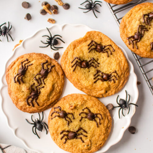 spider cookies on a plate