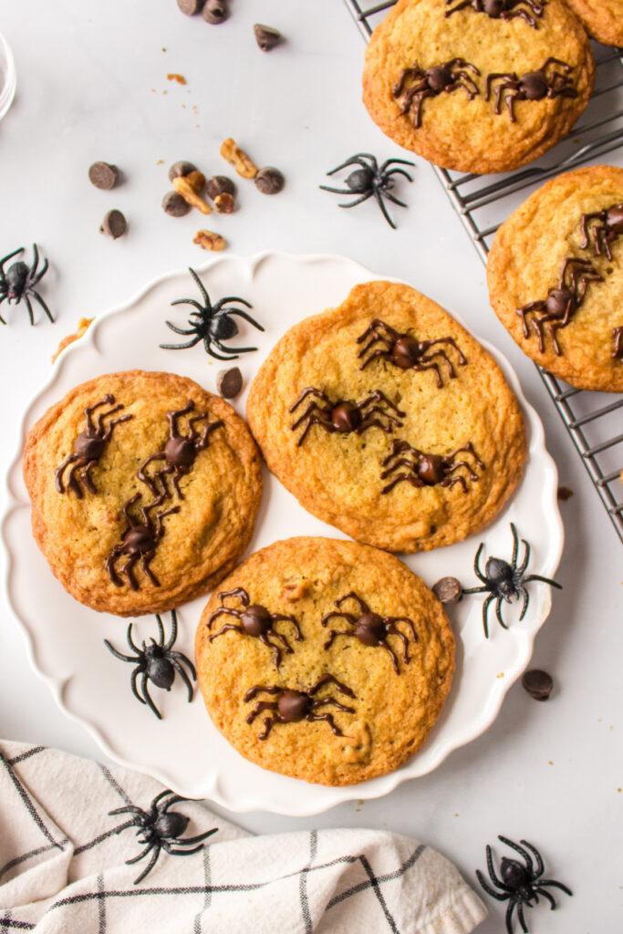 spider cookies on a plate