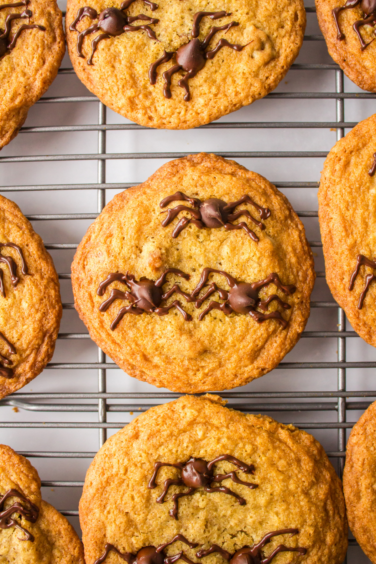 spider cookies on a cooling rack