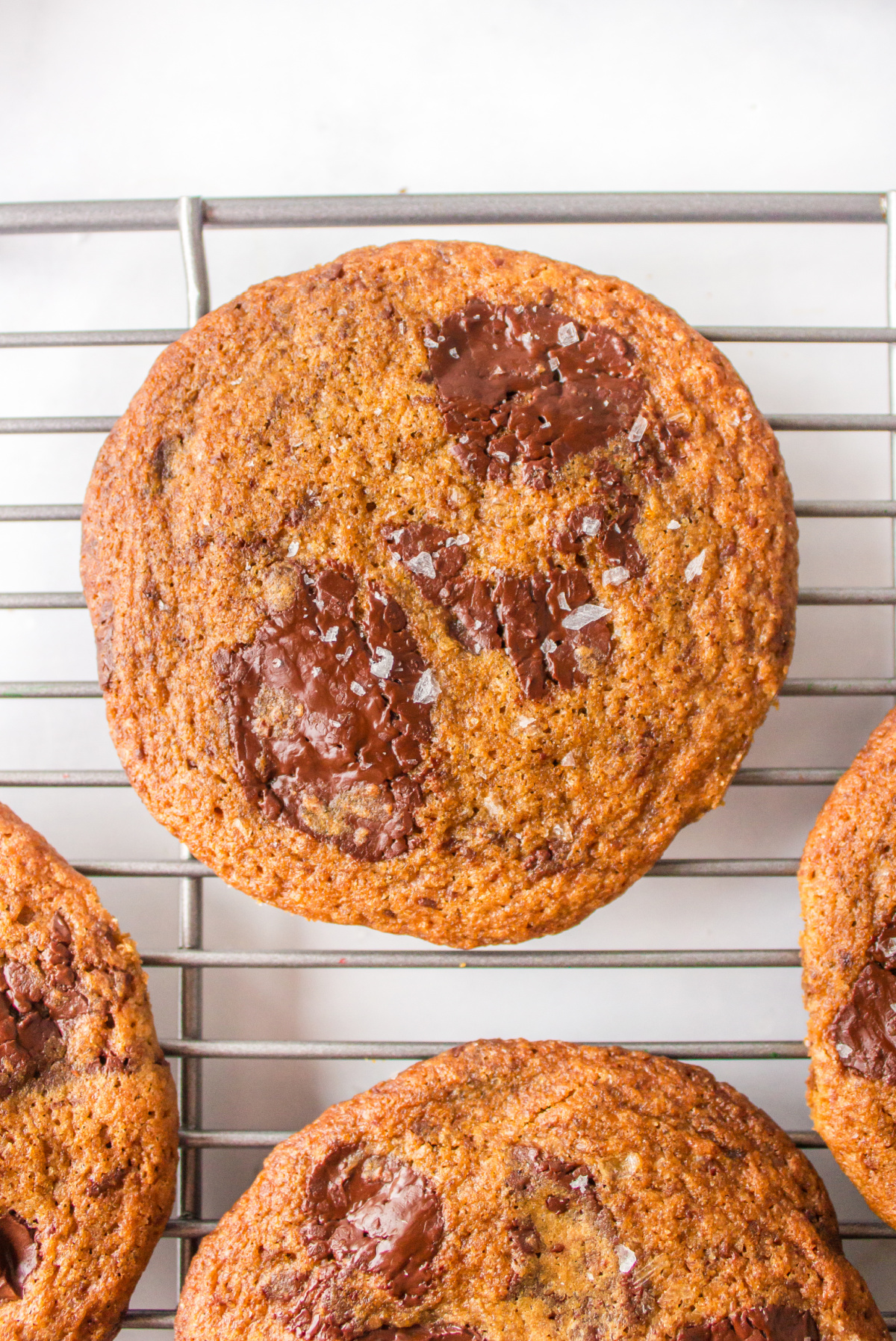 close up dark chocolate chunk cookie