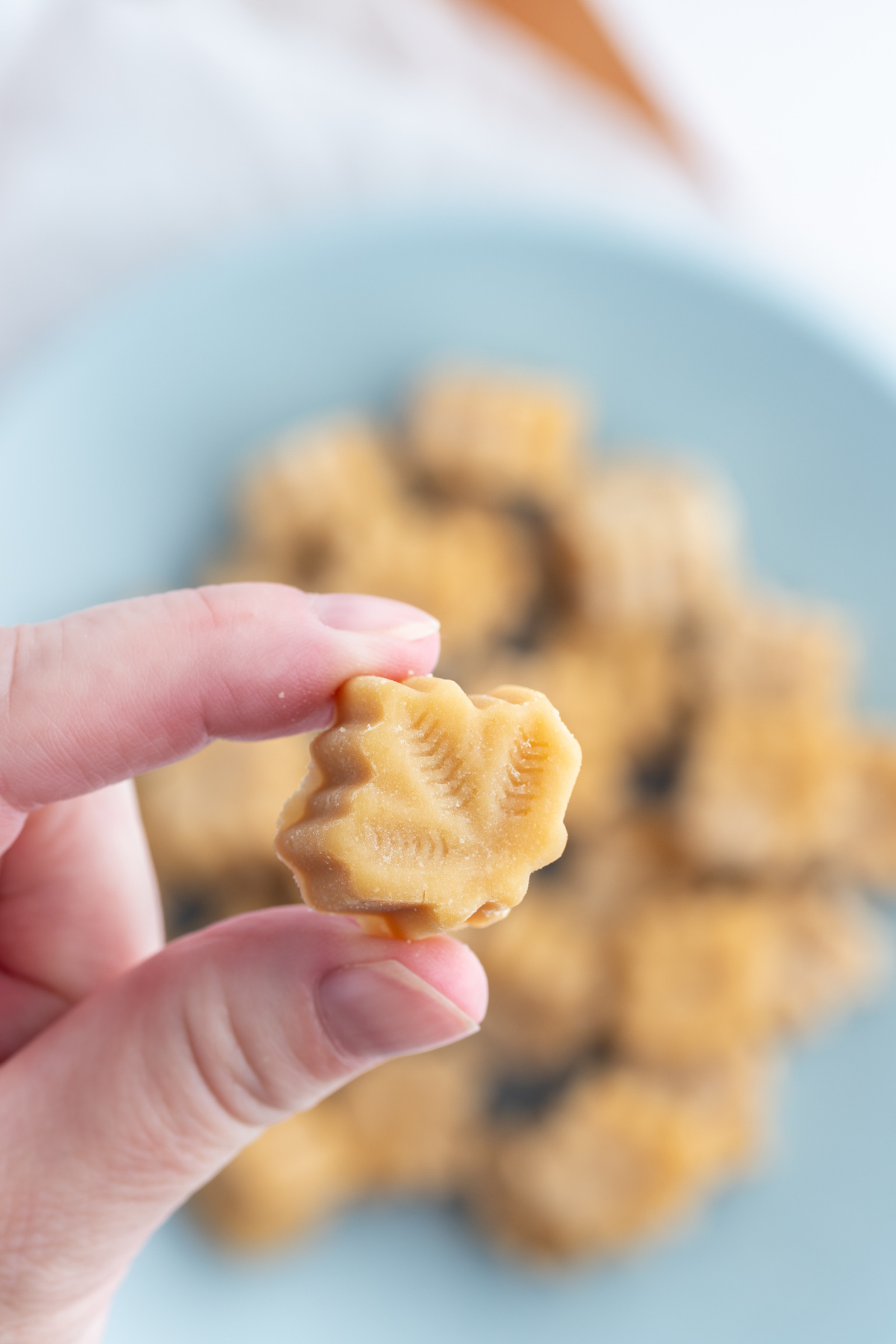 hand holding maple syrup candy from mold