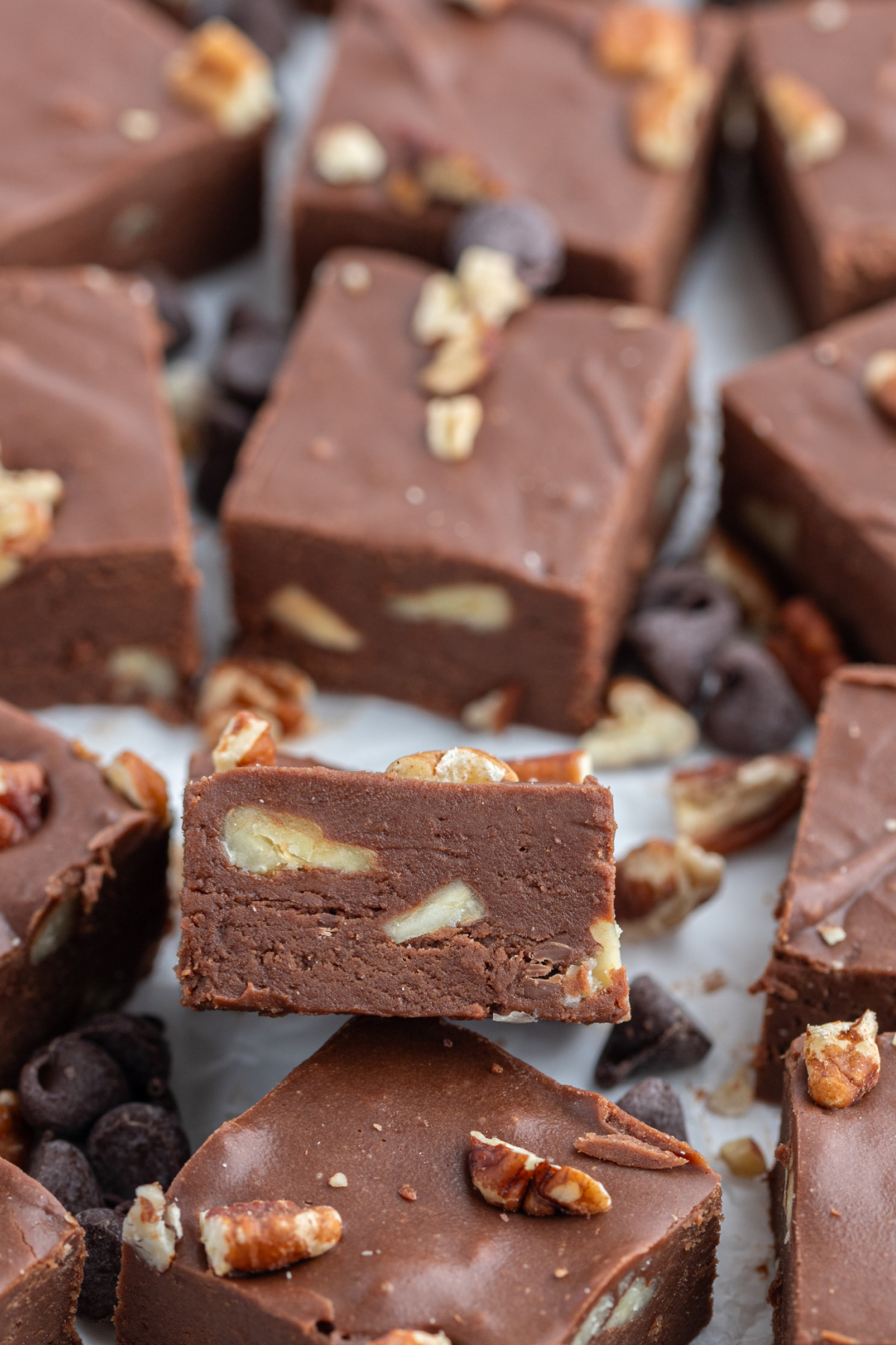 pieces of fudge with pecans
